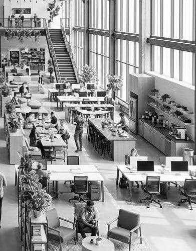 A bright open-plan workspace
